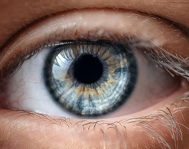 Destroyed Vision